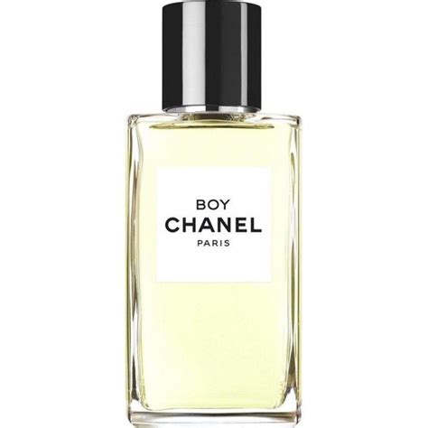 boy by chanel perfume|chanel boy perfume price.